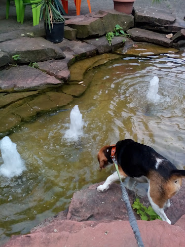 Търговище Център, бул. „Васил Левски“ 13, 7700 Търговище