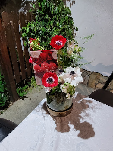 Comentarii opinii despre Дионисиос