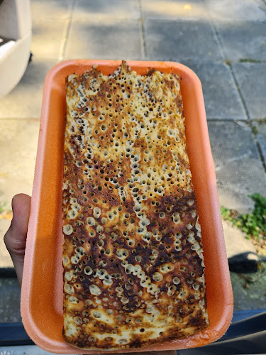 Катми - Пловдив