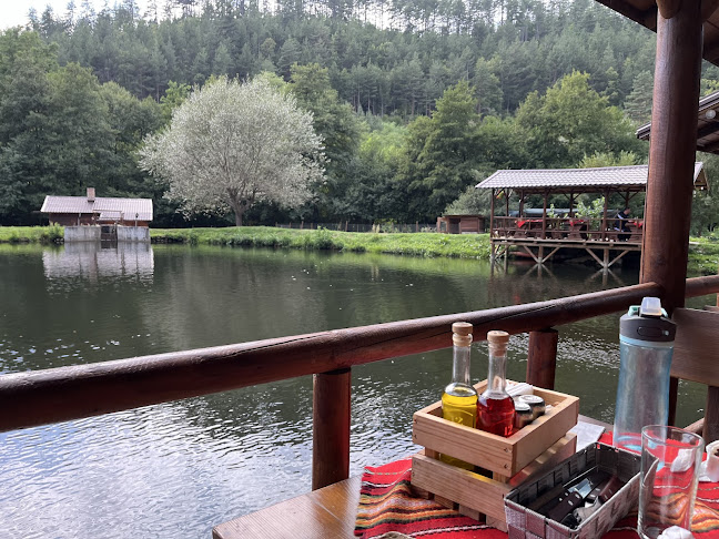 unnamed road, 2780 Белица