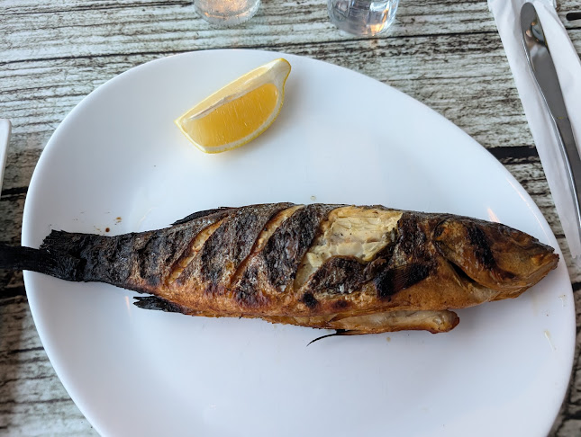 ПриморскиОдесос, Крайбрежна алея, 9000 Варна