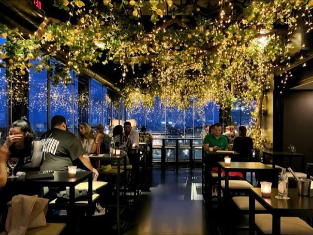 София център, бул. „Цар Освободител“ 16, 1000 София