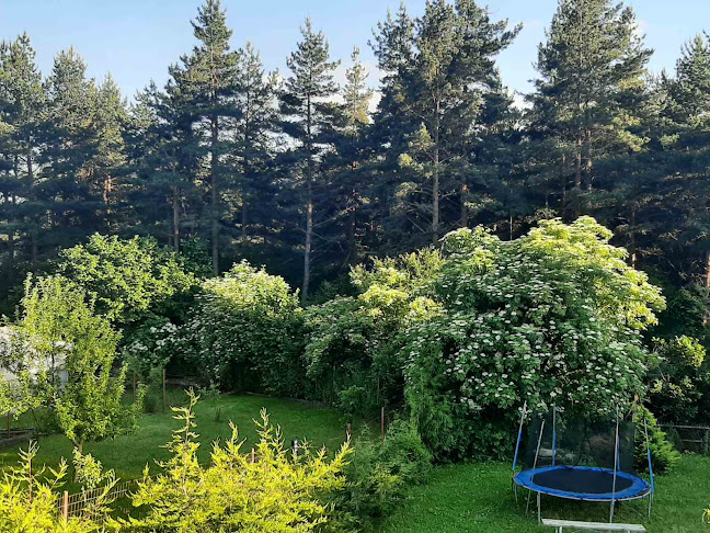 в.з. Ярема, 2023 Витоша