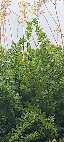 Comentarii opinii despre Общински Пазар “Васил Шаханов”