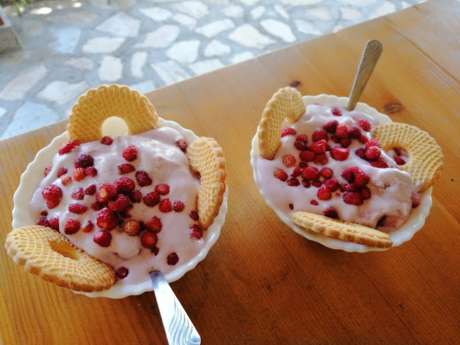 Comentarii opinii despre Салкиното Ханче 1989