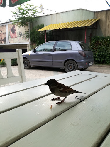 Закуски Фантазия