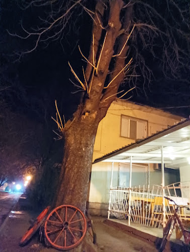 Comentarii opinii despre Friends Bar & Grill