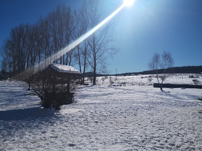 Opinii despre Механа Стопаните în Горни Окол - Гастрономия и хотелиерство