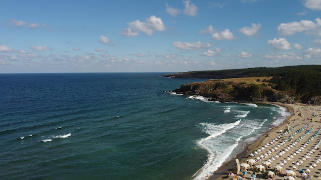 Пицария "Куцата Медуза"