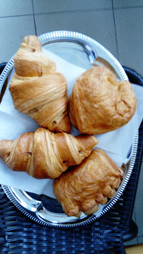 Opinii despre Белите мечки în София - Гастрономия и хотелиерство