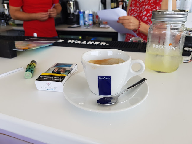 Comentarii opinii despre W Garden Club