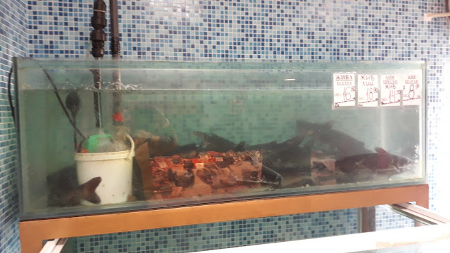 Созопол - София