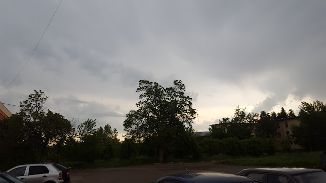 Opinii despre ЗАКУСВАЛНЯ ПАТЕТО în Монтана - Гастрономия и хотелиерство