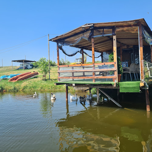 Comentarii opinii despre Рибен ресторант с.Момино