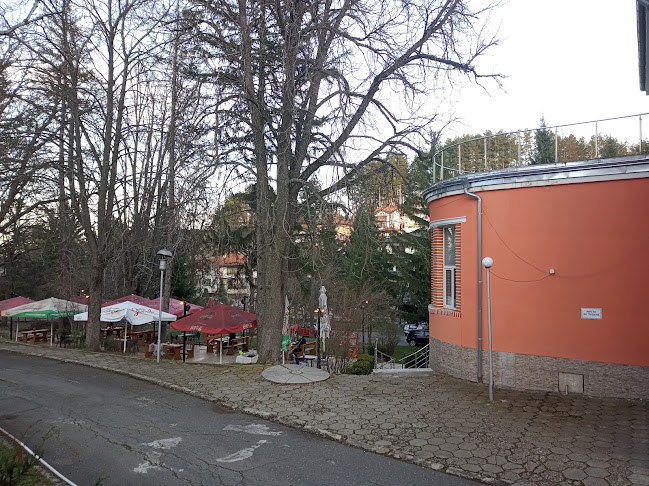 ул. „Иван Вазов“ 5, 1320 Банкя