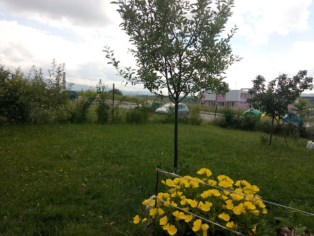 Гранд Кафе - Гастрономия и хотелиерство