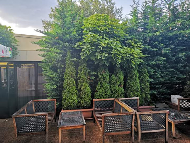 Пицария „Ветрило“ - Младост