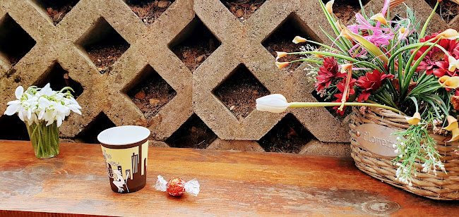 Pette Kyosheta, бул. „Витоша“ 85, 1463 София