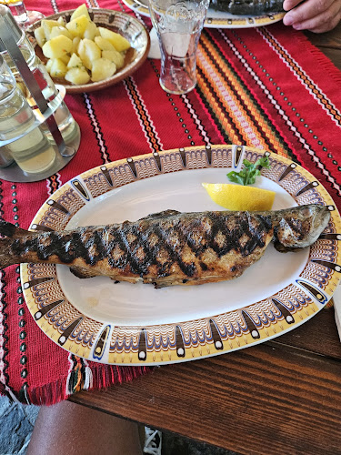 Opinii despre Рибен ресторант Алпина în Добринище - Гастрономия и хотелиерство