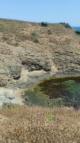 Comentarii opinii despre Пицария "Куцата Медуза"