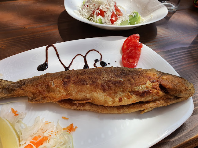 Парк за танцуващи мечки, 6км. от Белица към, 2780 Белица