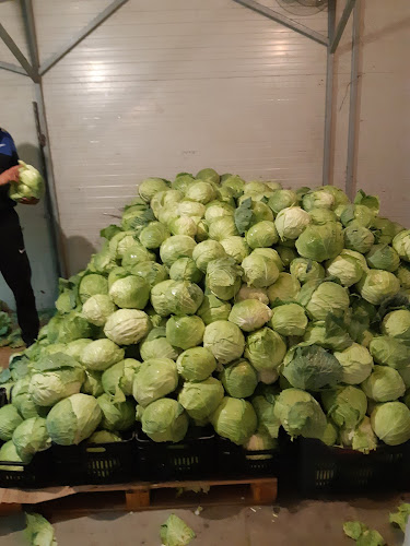 ЗападМладост, ул. „Академик Игор Курчатов“ 1, 9009 Варна