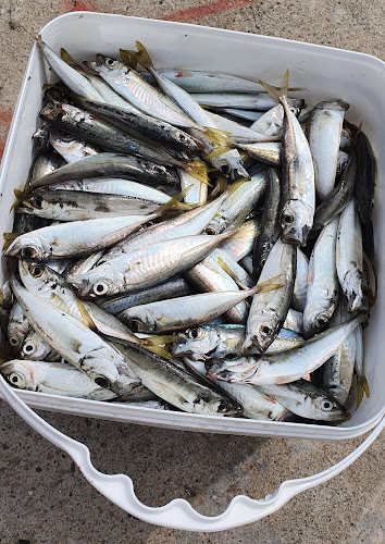 Ресторант Антика