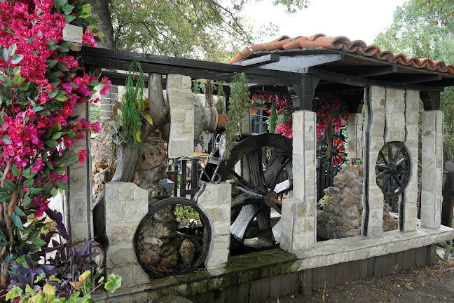 Comentarii opinii despre Ресторант „Воденицата“