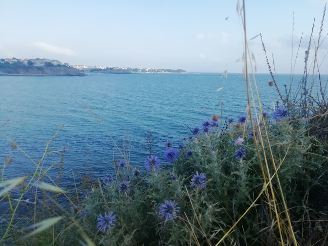 Нестинарка - Плевен