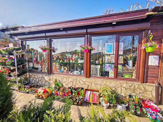 ул. „Търговска“ 151, 2040 Долна баня