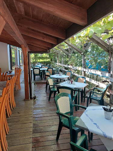 Comentarii opinii despre Бай ДЖИ