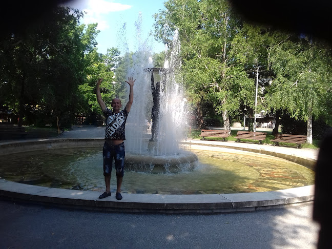 Център, ул. Димитър Благоев 7, 4180 Хисаря