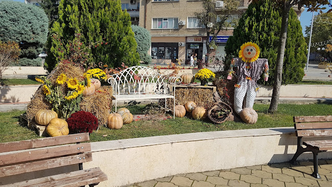 Център, 608, 6200 Чирпан