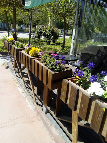 Comentarii opinii despre Кафене "Корлеоне"