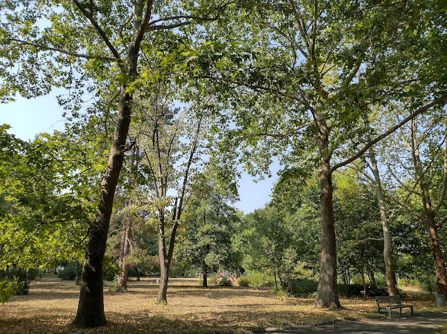 Ресторант "Парадайс" - Гастрономия и хотелиерство