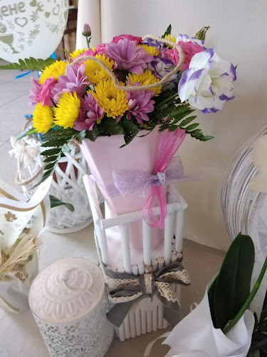 9500, Генерал Тошево