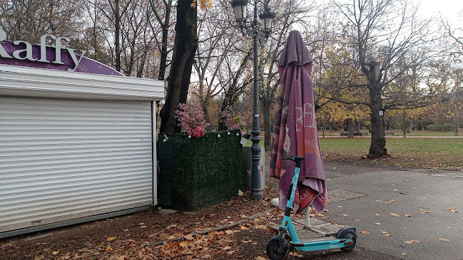 Сладолед Raffy Ice Cream Борисова градина - София