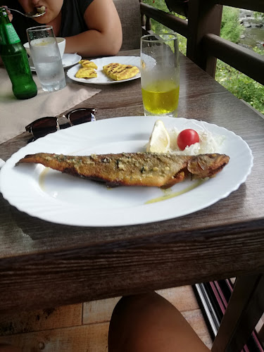 Ресторант Вила Рай ОГНЯНОВО - Гастрономия и хотелиерство