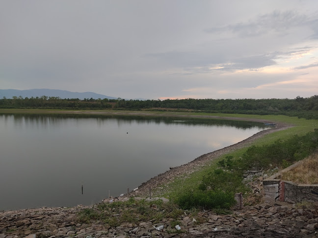 я-р, 4294 Брягово