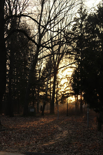 Opinii despre Ресторант "Парка" în Исперих - Гастрономия и хотелиерство