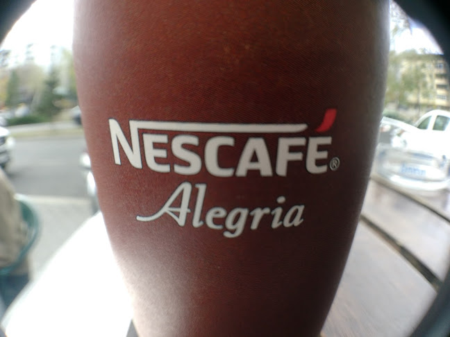 AVENUE - Гастрономия и хотелиерство