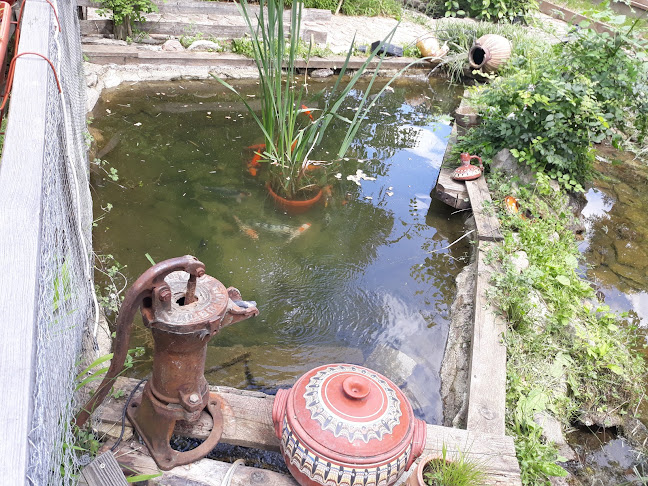 Добрила - Гастрономия и хотелиерство