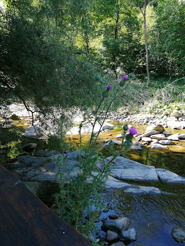 Comentarii opinii despre Валевци и спа