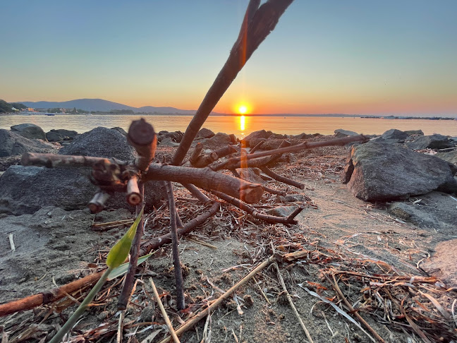 Comentarii opinii despre Созопол