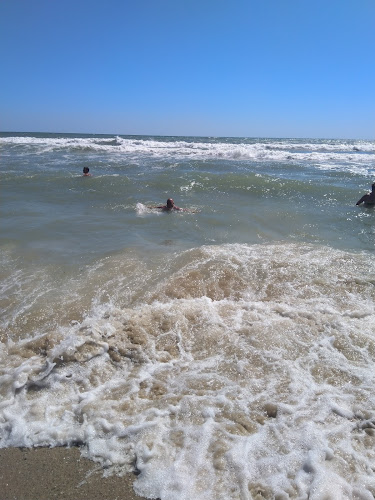 Ресторант "Свети Никола" - Гастрономия и хотелиерство