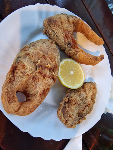 Opinii despre Комплекс Рибарника în Павликени - Гастрономия и хотелиерство