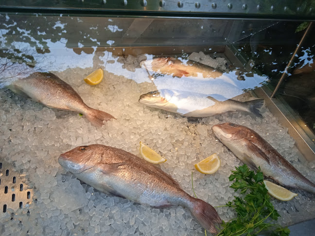 Медитеранео - София