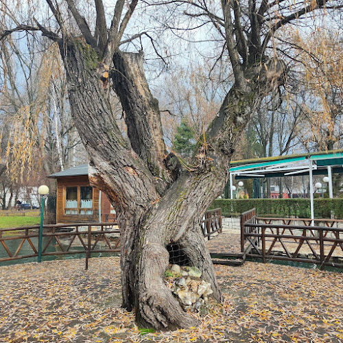 Da Gianni bar & ristorante - Гастрономия и хотелиерство