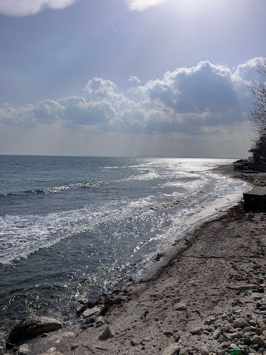 Comentarii opinii despre FANTASTICO food & fresh