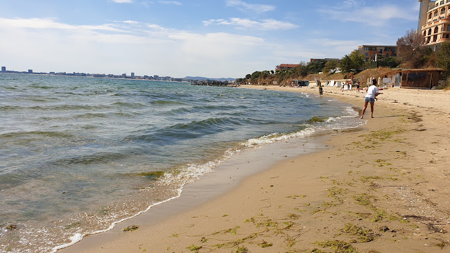 Comentarii opinii despre Алоха плажен бар